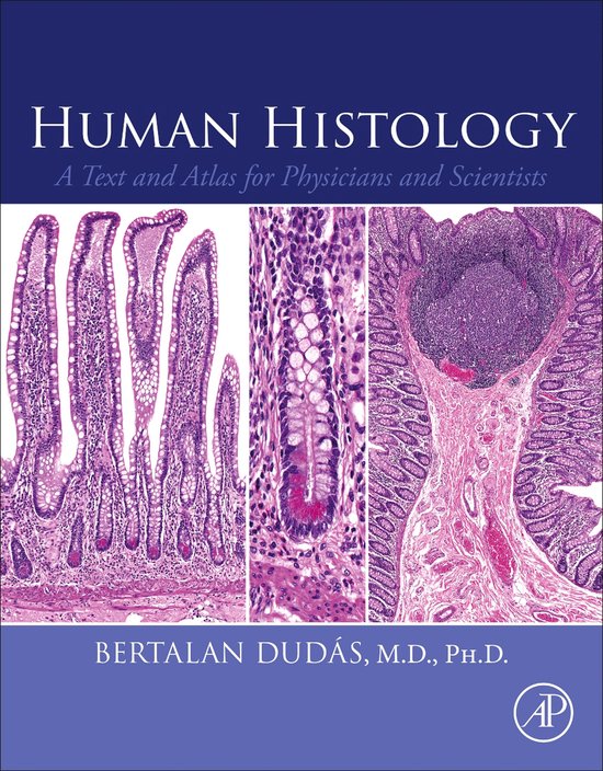 Foto: Human histology