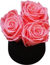 Fleurs de ville - Flowerbox met longlife rozen - 3 roze rozen - Zwarte box