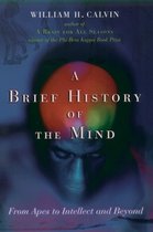 The Brief History of the Mind