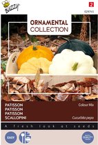 Buzzy Ornamental Courgette/Patisson Colour Mix