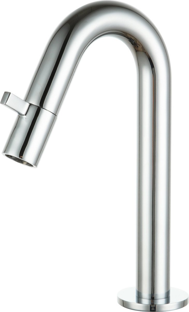 Diamond Line Eva - Toiletkraan - Glans Chroom - Opbouw - Laag - Koudwaterkraan