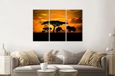 Schilderij - Olifanten familie bij zonsondergang, 120x80cm, 3 luik, premium print
