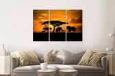 Schilderij -  Olifanten familie bij zonsondergang, 120x80cm, 3 luik, premium print
