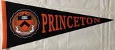 Princeton University - Princeton - NCAA - Vaantje - American Football - Sportvaantje - Wimpel - Vlag - Pennant - Universiteit - Ivy League amerika - 31 x 72 cm