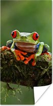 Poster Grenouille aux yeux rouges sur une branche couverte - 75x150 cm