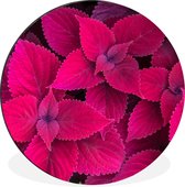 WallCircle - Cercle mural - Cercle mural - Feuilles - Abstrait - Motif - Aluminium - Dibond - 90x90 cm - Intérieur et Extérieur