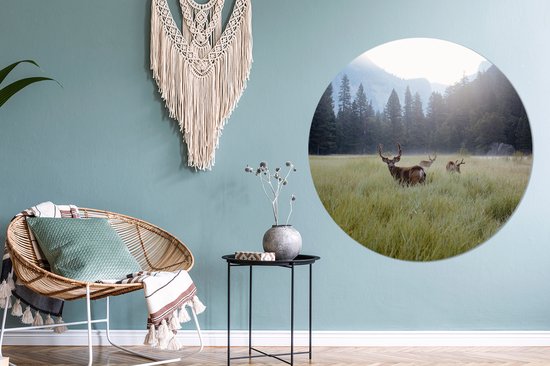 WallCircle - Stickers muraux - Cercle Papier Peint - Forêt - Cerf - Brouillard - 120x120 cm - Cercle Mural - Auto Adhésif - Sticker Papier Peint Rond XXL