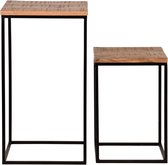 Tallazi Plantenzuil Set Rena Mangohout