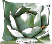 Coussins Coussins décoratifs - Oreillers Salon - 50x50 cm - Photo de détail d'un cactus vert menthe