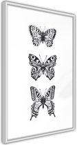 Butterfly Collection III.