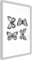 Butterfly Collection III.