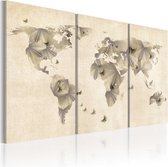 Schilderij - Atlas van vlinders - triptiek.