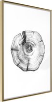 Tree Rings