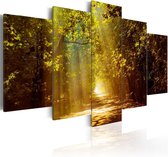 Schilderij - Forest in the Sunlight.