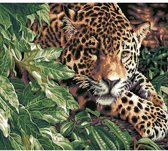 JDBOS ® Schilderen op nummer Volwassenen - Jachtluipaard - Verven volwassenen - 40x50 cm