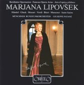 Münchner Rundfunkorchester - Beruhmte Opernarien (CD)