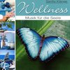 Various Artists - Wellness - Musik Für Die Seele (CD)