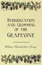 Hybridization and Crossing of the Grapevine