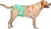 Loopsheidbroekje hond - lichtgroen - maat S - voor kleine honden - herbruikbaar - hondenbroekje - hondenluier - loopsheid - ongesteldheid - voorkomt ongewenste zwangerschappen bij