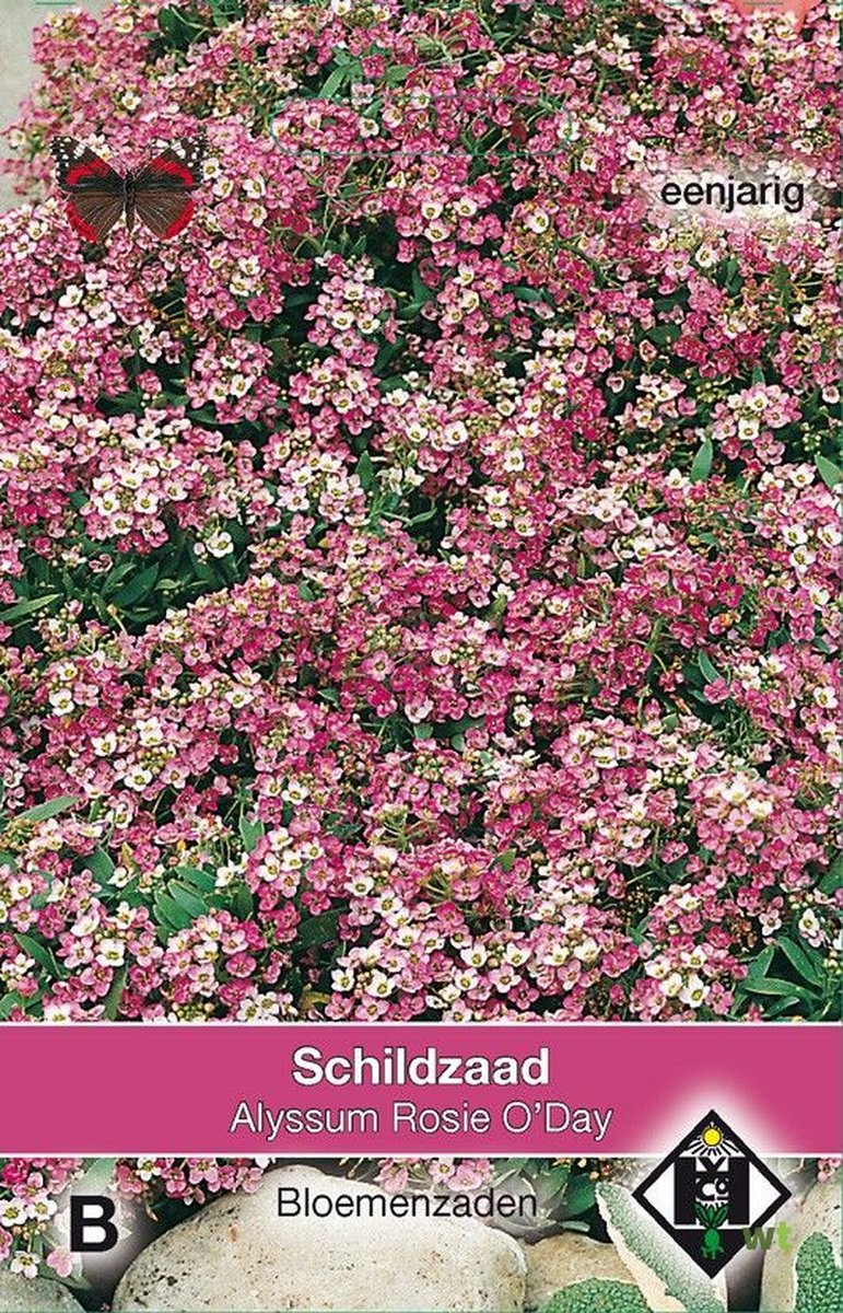 Van Hemert - Schildzaad Rosie O Day