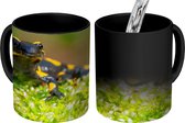 Magische Mok - Foto op Warmte Mok - Close-up van zwart gele vuur salamander - 350 ML - Uitdeelcadeautjes