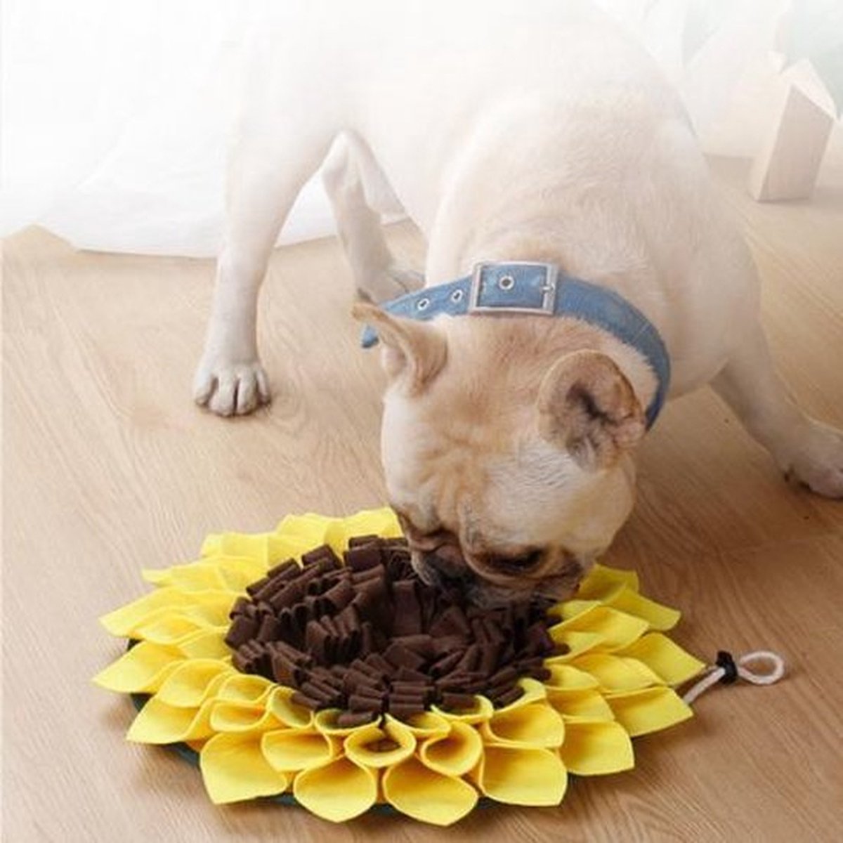 Jara sales nl Snuffelmat voor hond en kat - Zonnebloem thumbnail 3