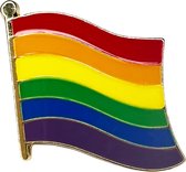 LGBTIQ + Regenboog Vlag Equality Pride Kledingspeld Enamel Emaille Pin Badge Reverse Pin Broche