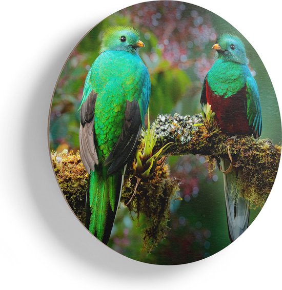 Artaza Houten Muurcirkel - Twee Groene Quetzal Vogels Op Een Tak - Ø 55 cm - Multiplex Wandcirkel - Rond Schilderij