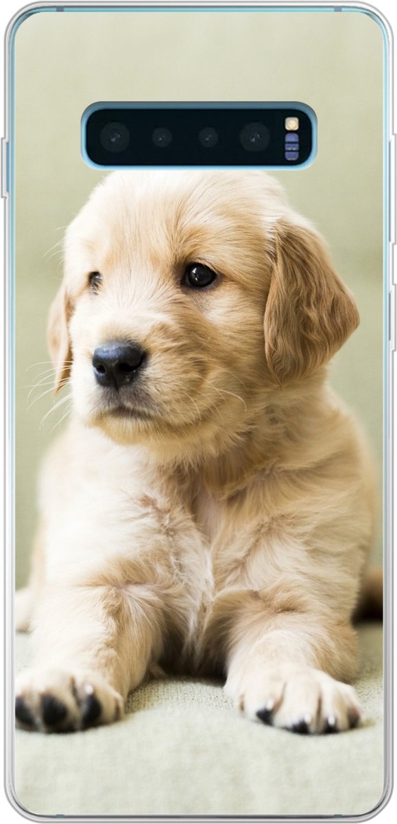 Telefoonhoesje Geschikt voor Samsung Galaxy S10 Plus hoesje - Golden Retriever puppy liggend op de bank - Siliconen Telefoonhoesje Telefoonhoesje