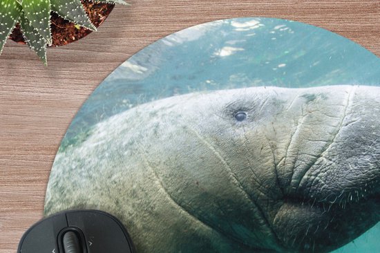 Muismat rond 30x30 cm - Mousepad Dieren - Water - Camera - Ronde muismatten