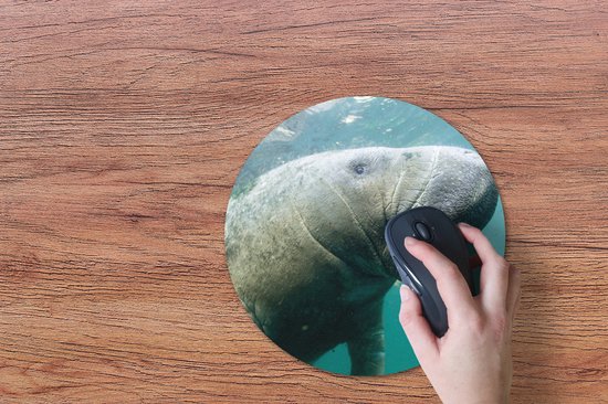 Muismat rond 30x30 cm - Mousepad Dieren - Water - Camera - Ronde muismatten