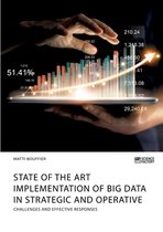 State of the Art Implementation of Big Data in Strategic and Operative Marketing. Challenges and Effective Responses