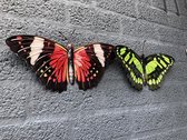 Bel ensemble de papillons muraux, de belle couleur et en métal.