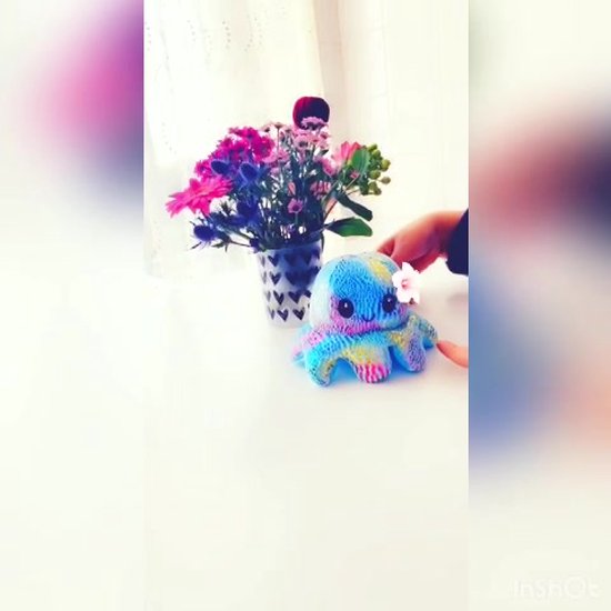 Fidget Toys Surprise Pop it - Meisjes 