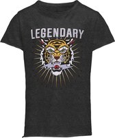 Kids ONLY KOMLUCY LIFE S/S FIT TIGER TOP BOX Meisjes T-shirt - Maat 110