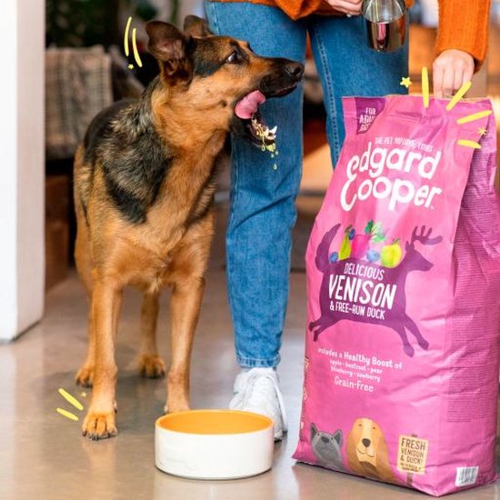 Duitse herder eet uit een voerbak naast een paarse zak Edgard & Cooper voer.