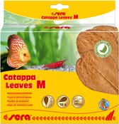 Catappa Leaves M 16 – 20 cm 10 st