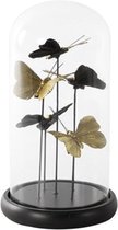 ShineHoly - Vlinders - Vlinder beeld - Vlinders onder glazen stolp - Woondecoratie - Cadeau