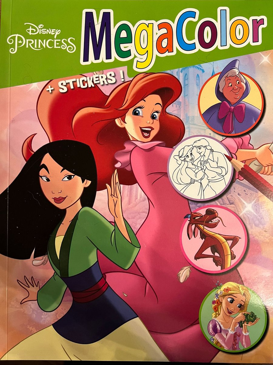 kleurboek disney princess met stickers vol met princessen kleurplaten