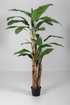 Bananenboom - kunstplant - exotische plant - topkwaliteit - 195 cm hoog