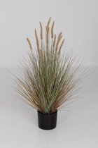 kunstplant - Kamgras - Cynosurys cistatus - topkwaliteit plant - kamerplant - Groen - 90 cm hoog