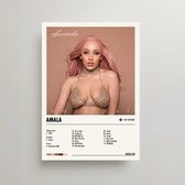 Doja Cat Poster - Amala Album Cover Poster - Doja Cat LP - A3 - Doja Cat Merch - Muziek