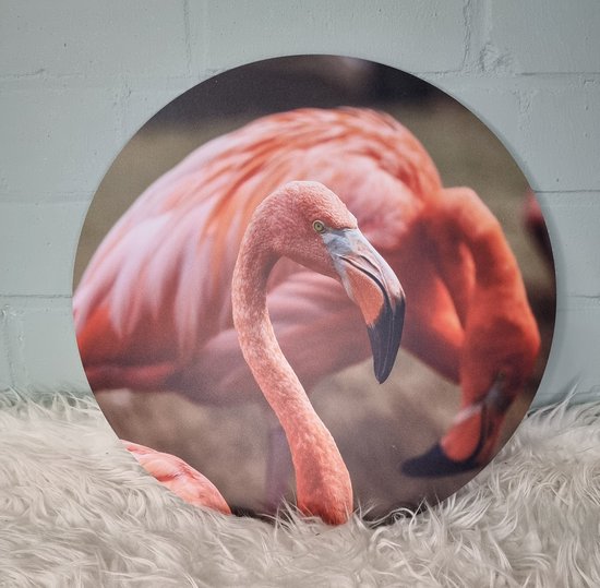 Muurcirkel Flamingo 40cm