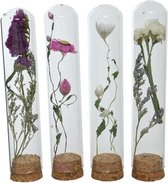Decoris Stolpje glas met droogbloemen W3-H15cm (1 stuk) assorti