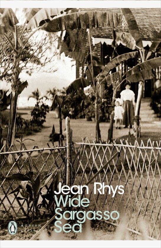 jean-rhys-pmc-wide-sargasso-sea--notes