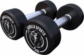 Bol.com Gorilla Sports Dumbbell set 10 kg - Halterset - 2x5 kg - Dumbells - Gietijzer aanbieding