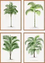 Poster Set van 4 Botanische - Exotische Britse Varens - Bladeren - Planten - 50 x 70 cm - Wanddecoratie - Muurdecoratie - Slaapkamer - Woonkamer
