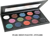 Ben Nye Dynamic Pearl Sheen Palette