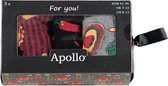 Apollo - Giftbox herensokken - Food - Multi color - Maat 41/46 - Geschenkdoos - Cadeaudoos - Giftbox mannen - Verjaardagscadeau