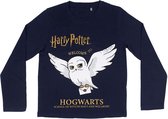 Harry Potter "Welcome To Hogwarts" pyjama 14 Jaar